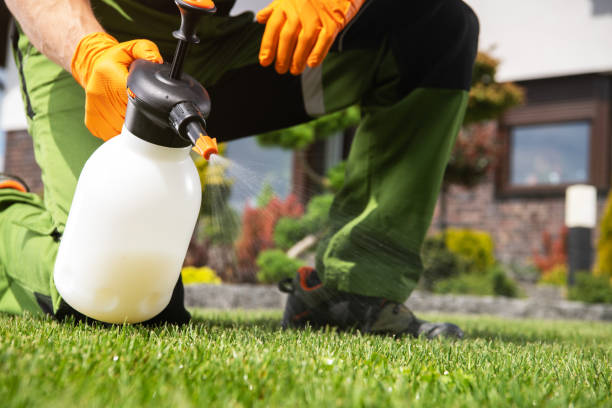 Bird Control in Hopkinsville, KY
