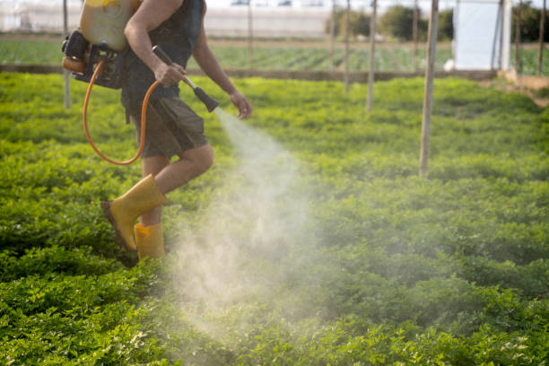 Pest Control Cost in Hopkinsville, KY