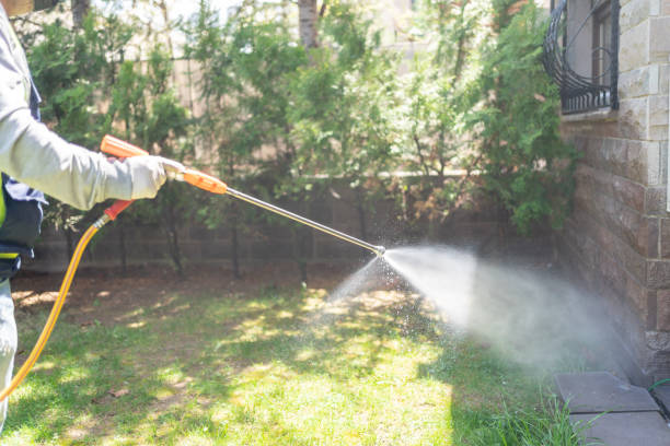 Trusted Hopkinsville, KY Pest Control Experts
