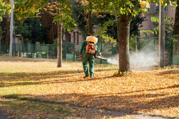 Best Local Pest Control Services  in Hopkinsville, KY