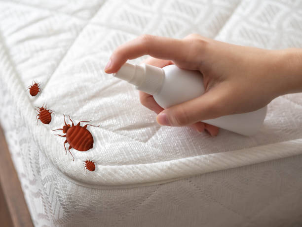 Pest Prevention Services in Hopkinsville, KY